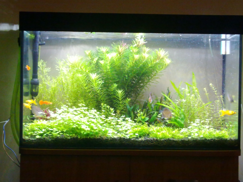 20150309932.jpg