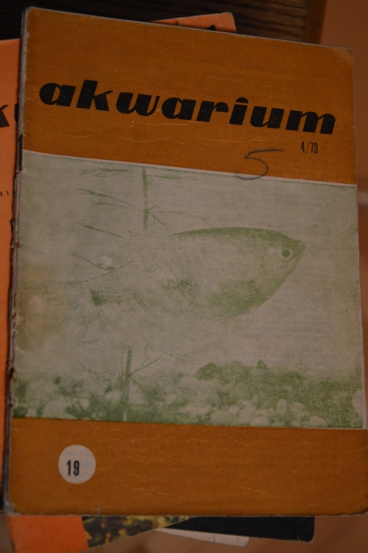 akwarium 73r..JPG