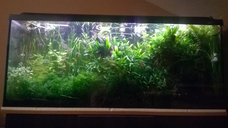 WP_20150307_003.jpg