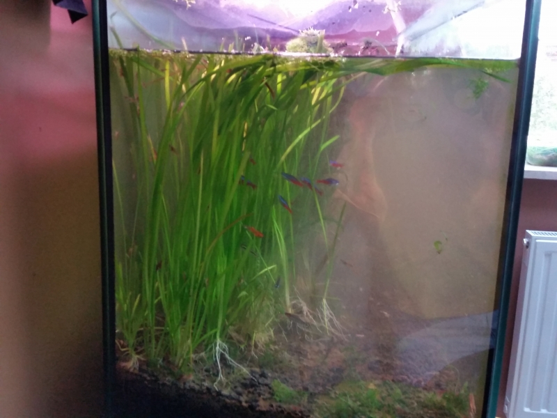 20150401_131155.jpg