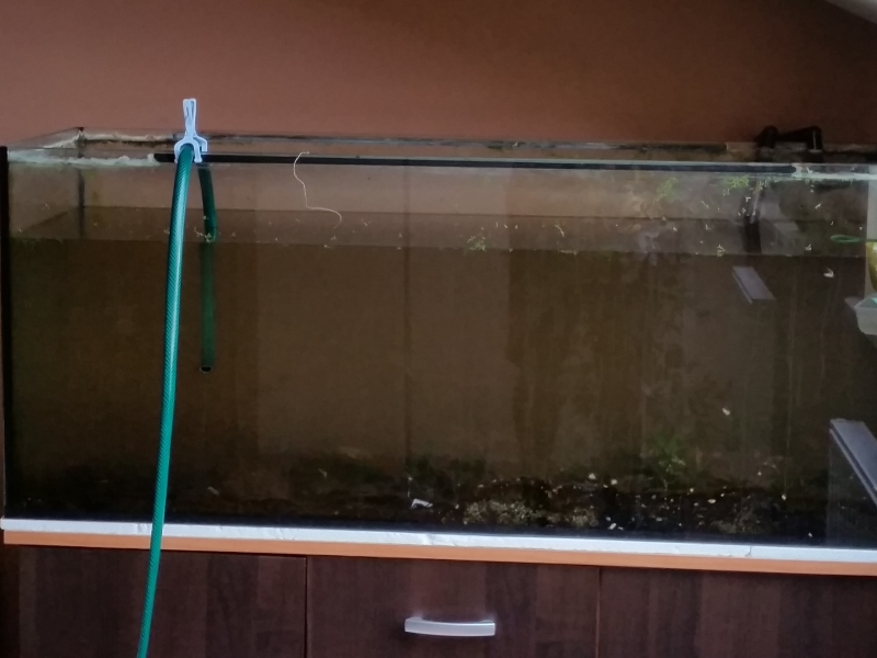 20150401_133420.jpg