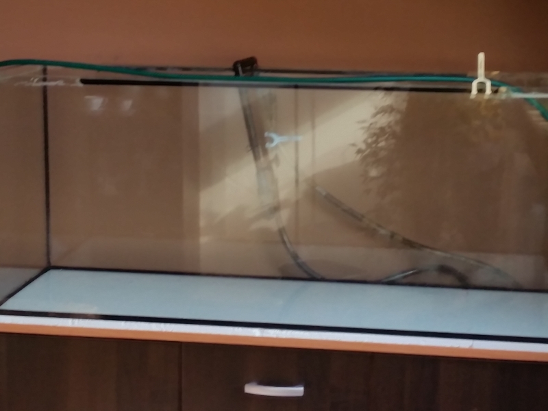 20150401_155118.jpg