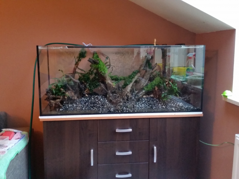 20150401_173443.jpg
