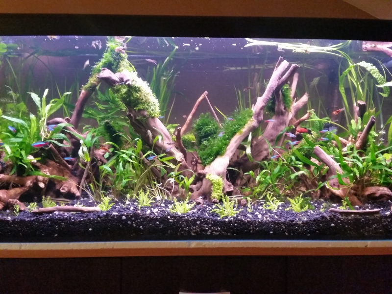 20150404_191904.jpg