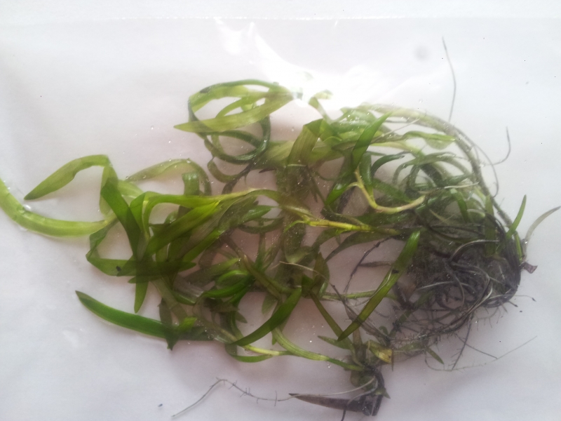 20150410_190010.jpg
