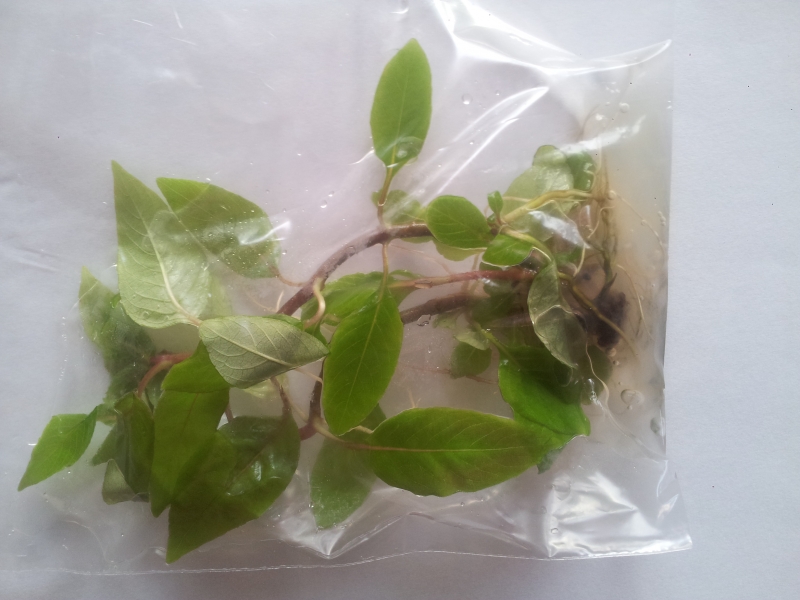 20150410_190019.jpg
