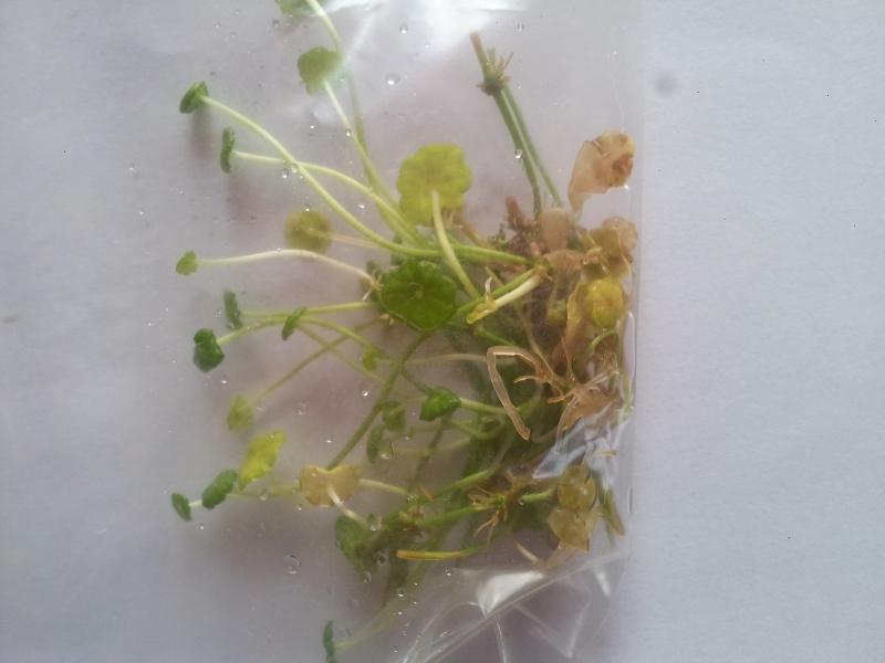 20150410_190031.jpg