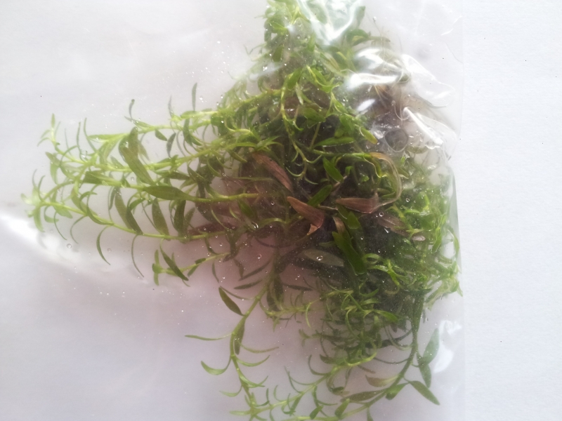20150410_190056.jpg