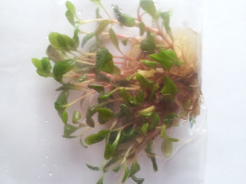20150410_190137.jpg