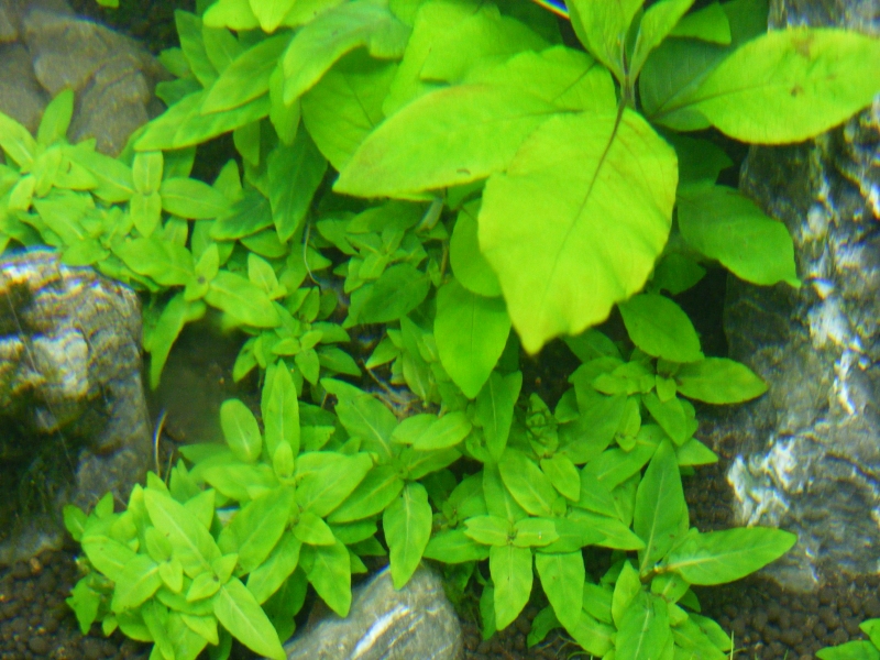 DSCF0298.JPG