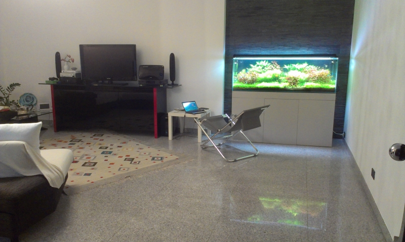 IMAG0615.jpg