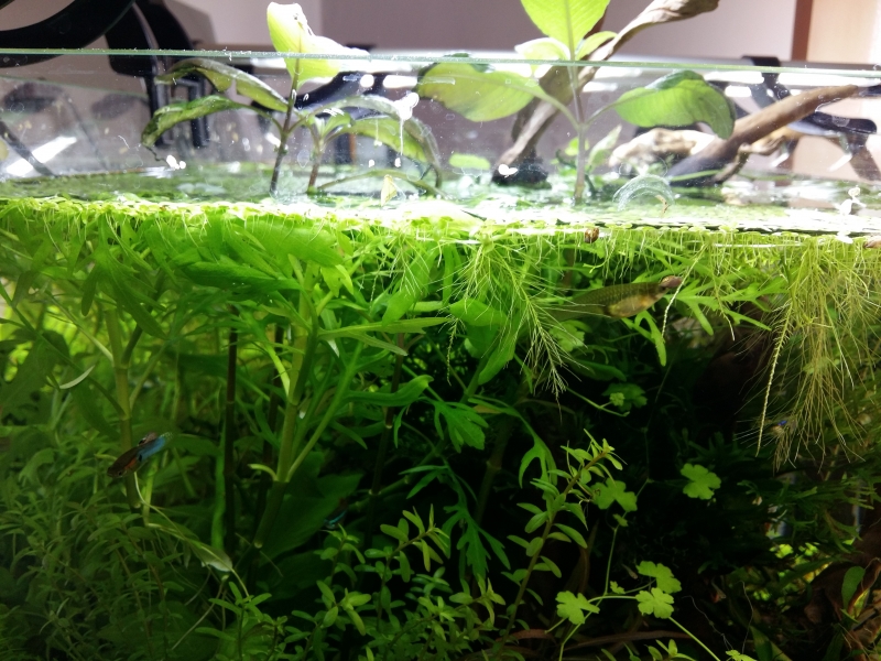 20150417_152540.jpg