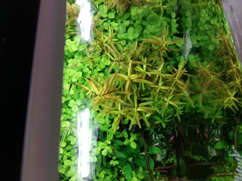 20150417_152554.jpg