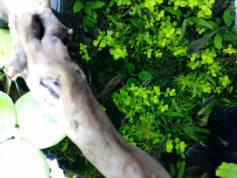 20150412_112920.jpg