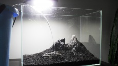 30L - Nano by xXKrystianXx