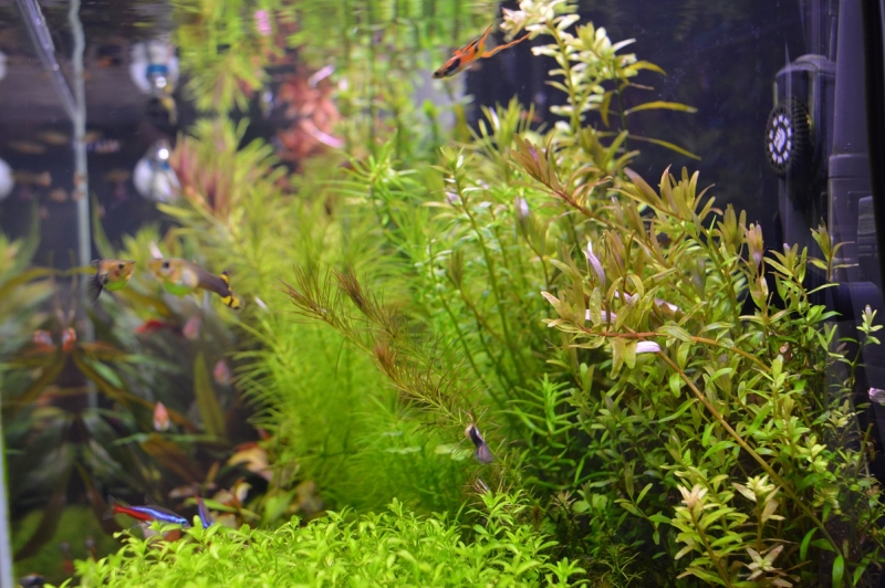 201504195.jpg
