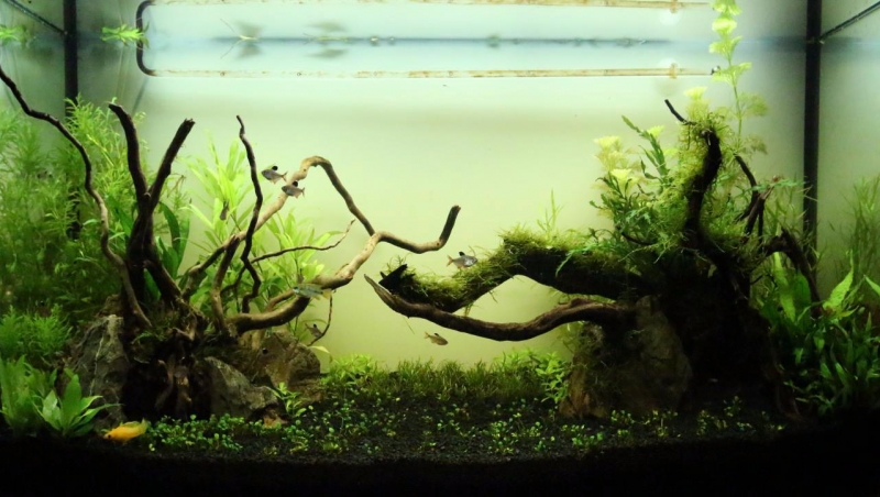 2bb8f9f7e2ae23bc.jpg