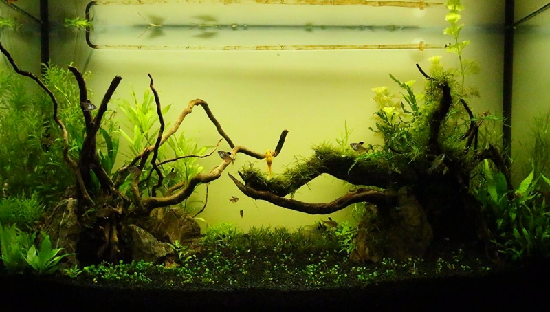 5d8cb79406894e2c.jpg