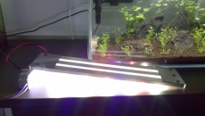 Lampka Power Led 14W 20L