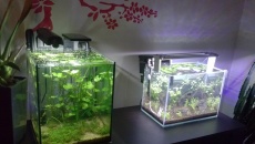 Lampka Power Led 14W 20L