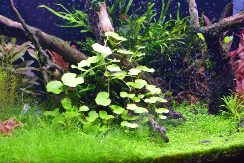 image002.jpg