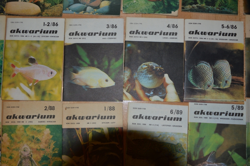 akwarium 3.JPG
