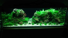 192l - Cezara .....