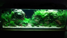 192l - Cezara .....
