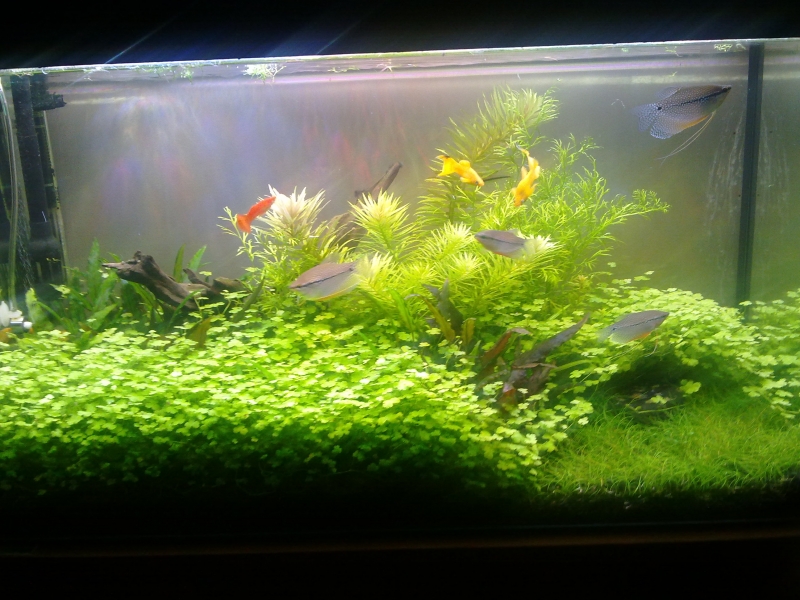 201506081038.jpg