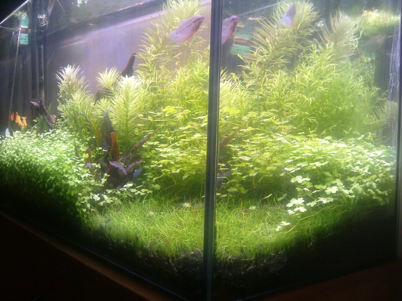 201506071035.jpg