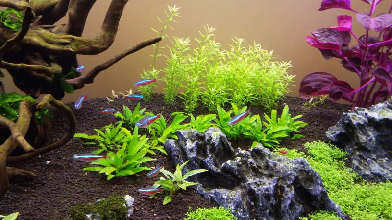 20150614_114040.jpg