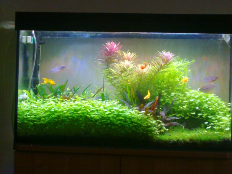 201506201064.jpg