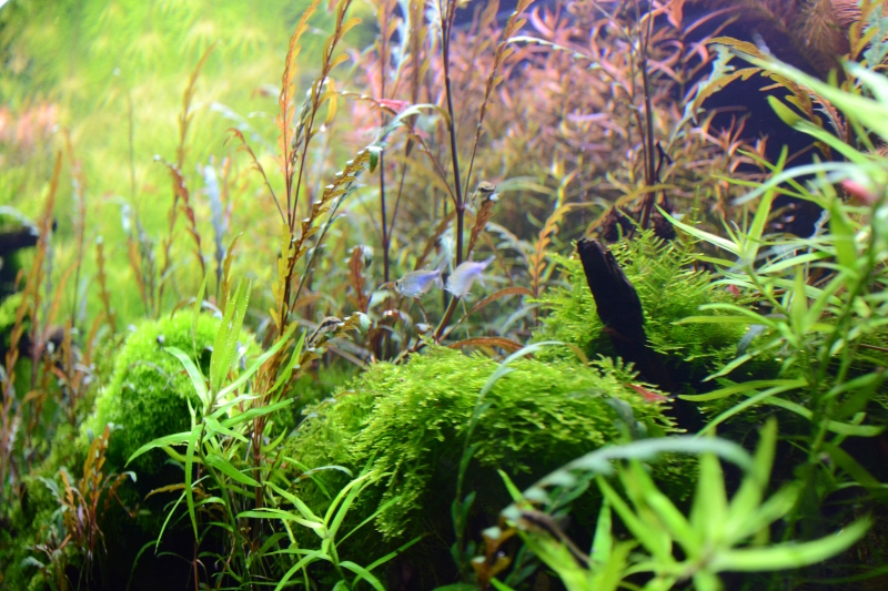 DSC_1341.jpg