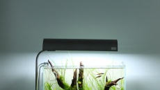20l - "Back to the Nature" - Mariusz Sawicki