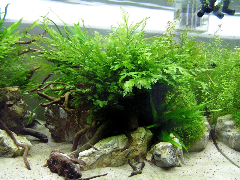 PICT0023.JPG