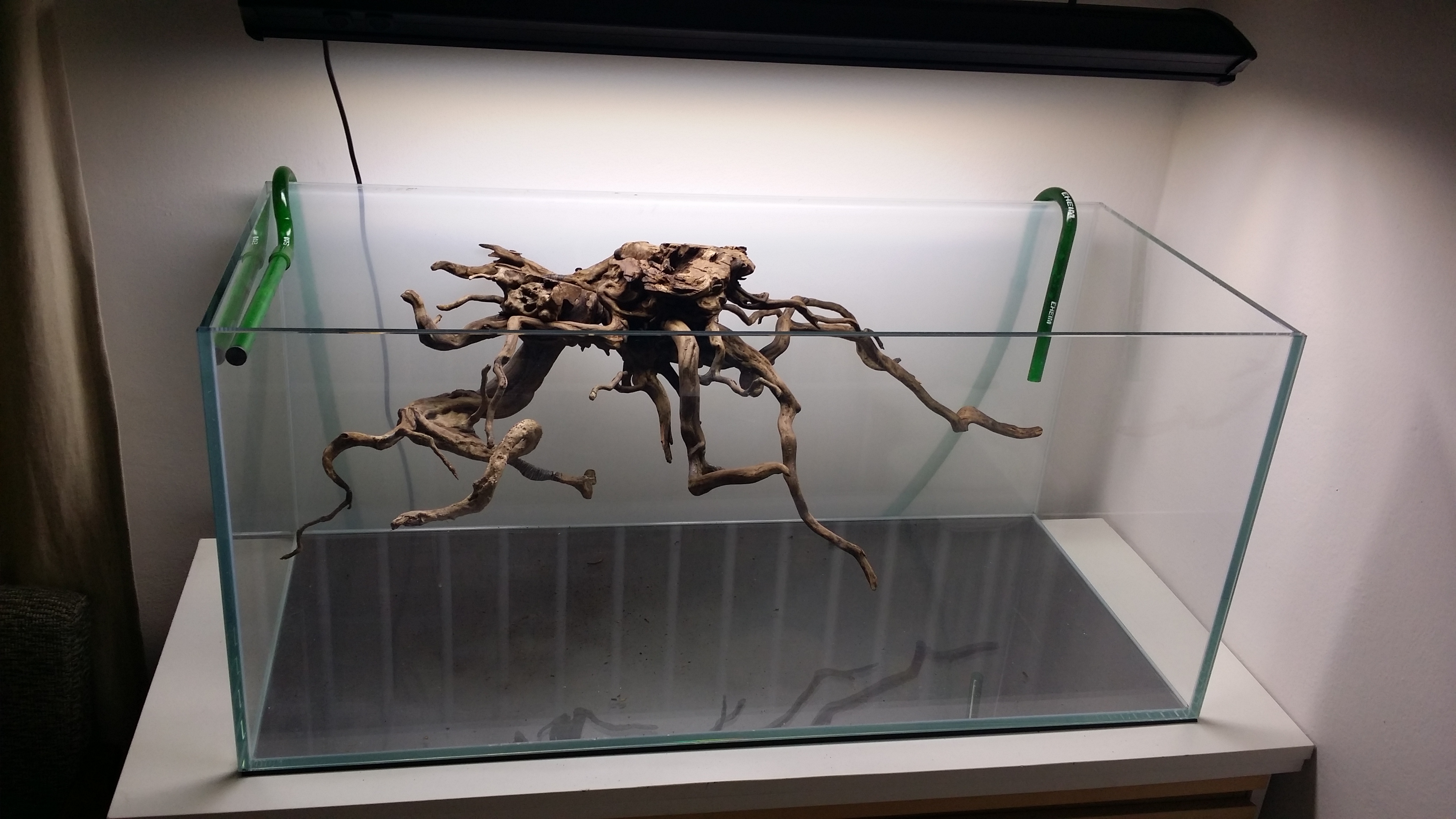 20150625_125306.jpg
