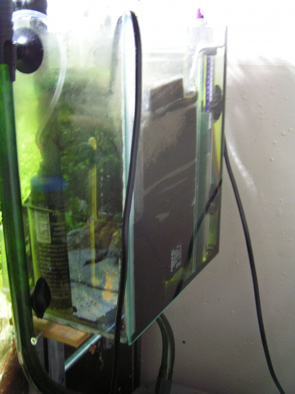 PICT0001.JPG