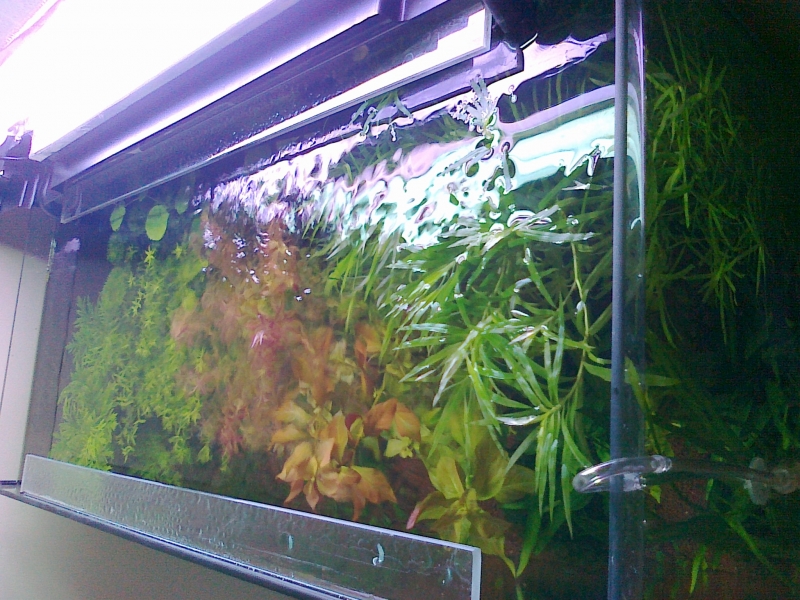 20120114085.jpg