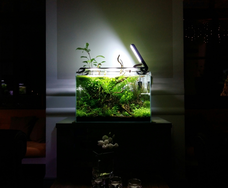 2015-06-13 08.21.18.jpg