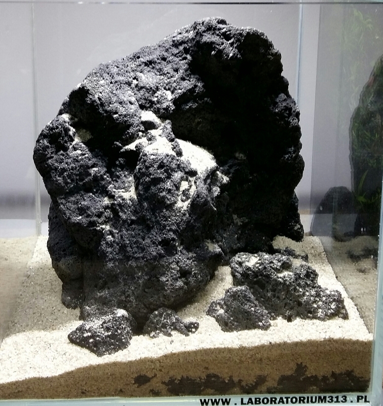 2015-05-17 23.47.09.jpg
