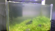 30L - Nano by xXKrystianXx