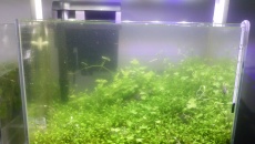 30L - Nano by xXKrystianXx