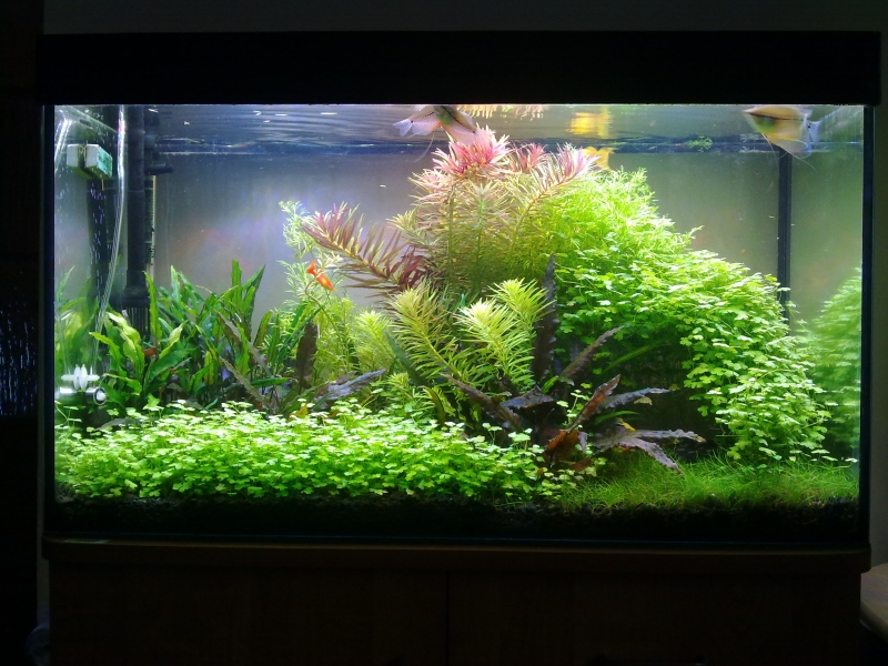 201507091098.jpg