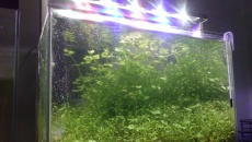 Lampka Power Led 14W 20L