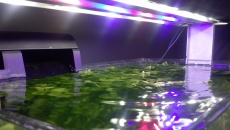 Lampka Power Led 14W 20L