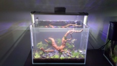 30L - Nano by xXKrystianXx