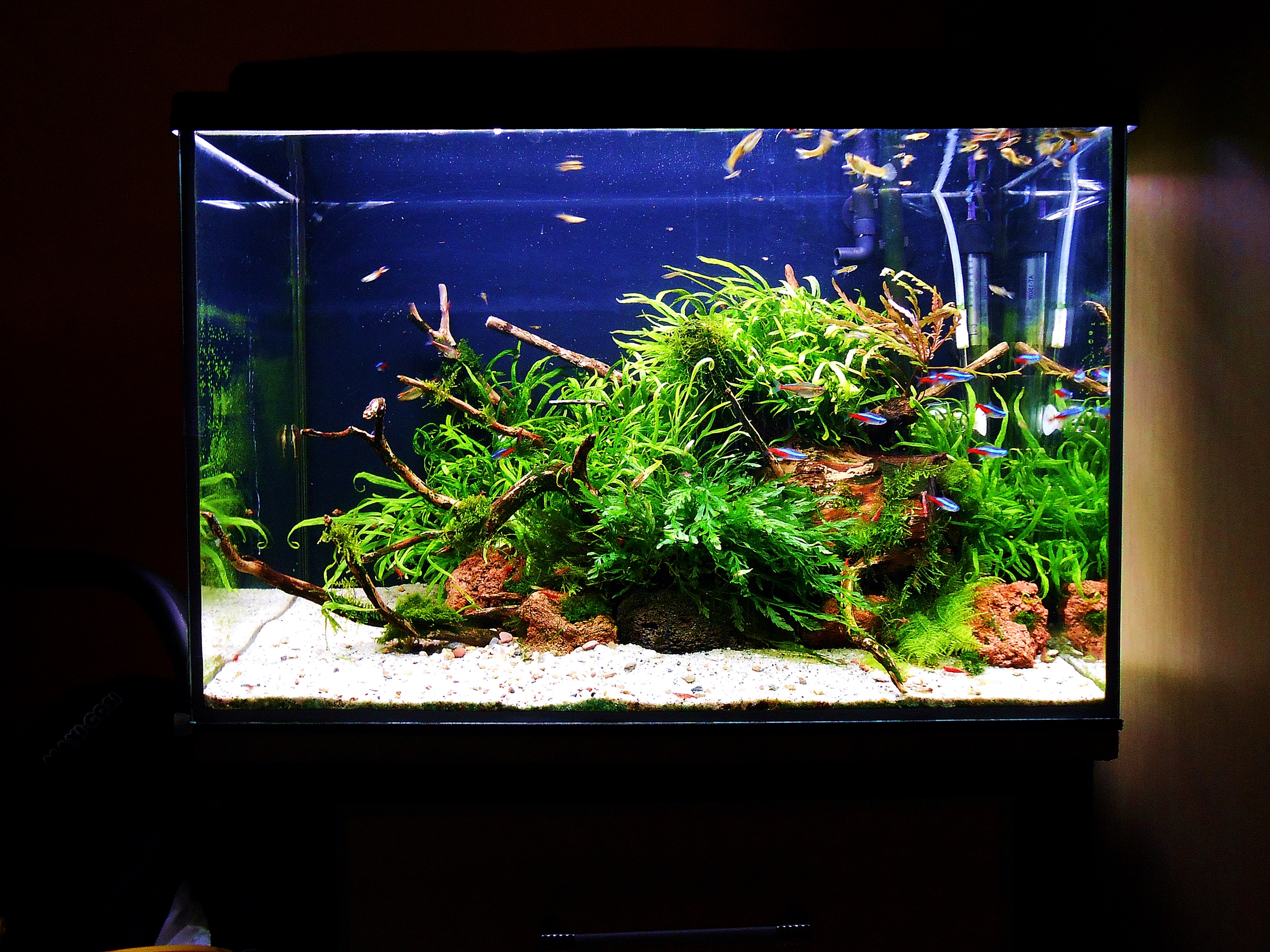 DSCN16012.JPG