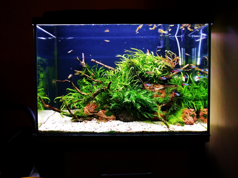 DSCN16012.JPG