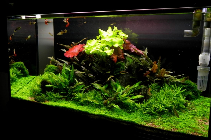 DSCN6673.jpg