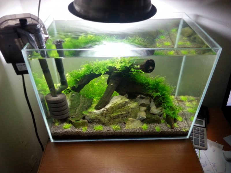 20150807_161257.jpg